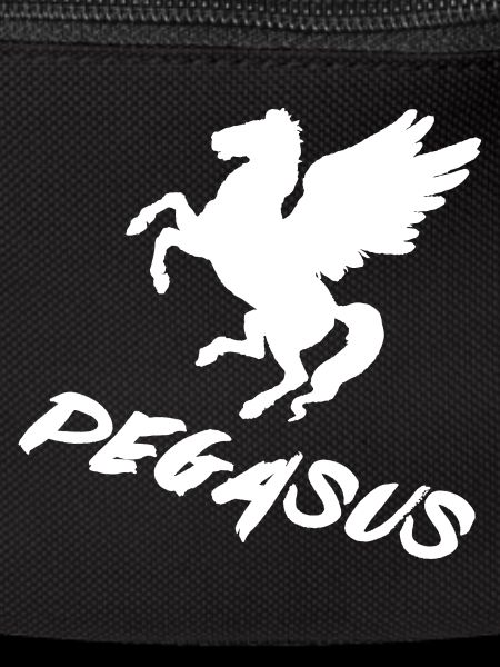 Pegasus