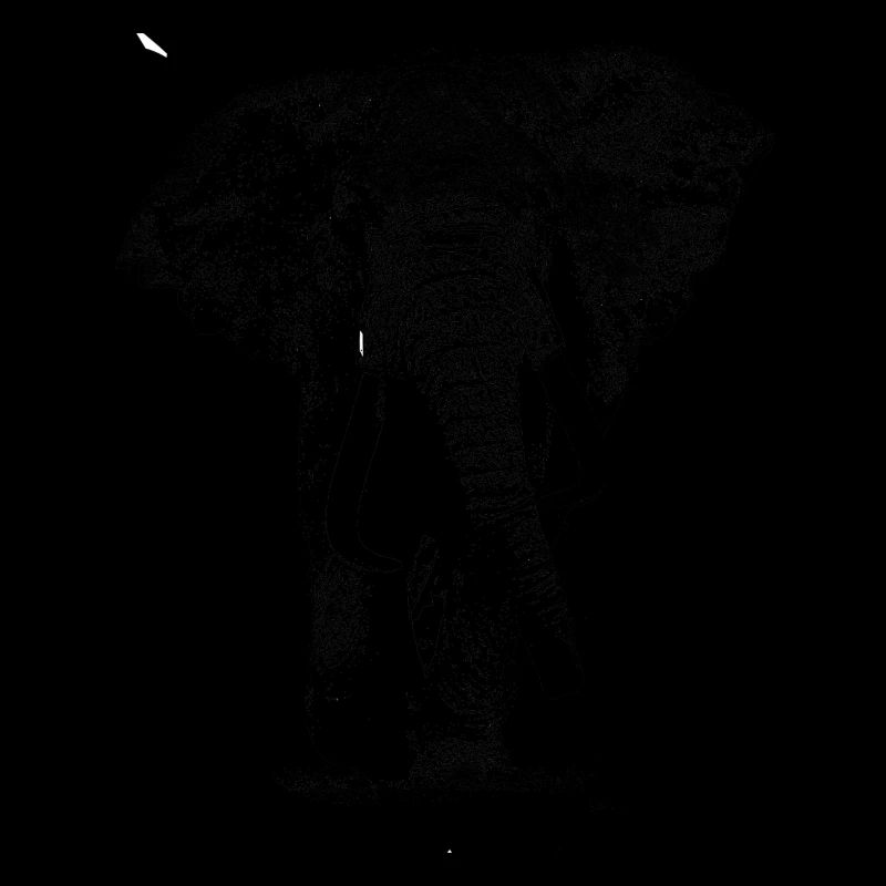 Elefant