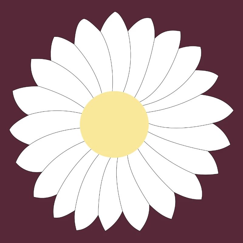 Gänseblümchen