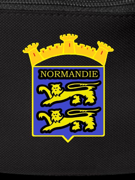 NORMANDY BADGE