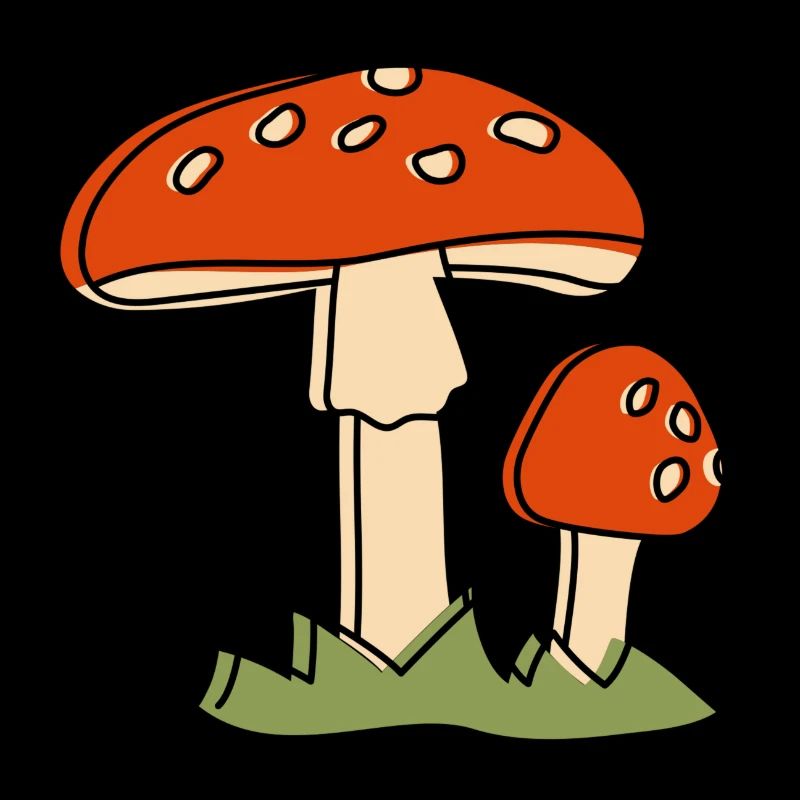 Mouche champignons agaric Champignon