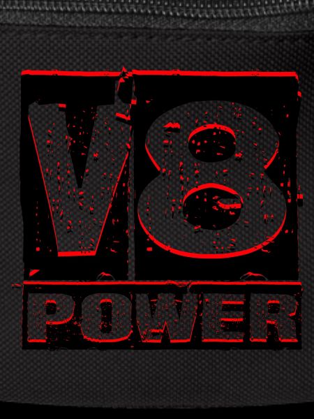 V8