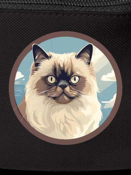 Himalayan cat
