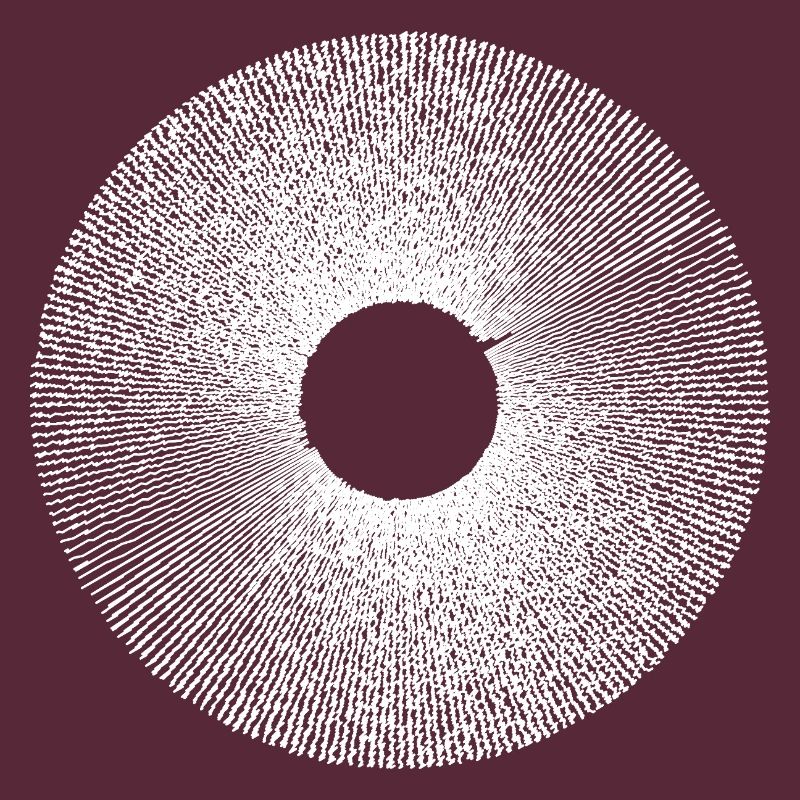 Iris Ringburst Radial Pattern