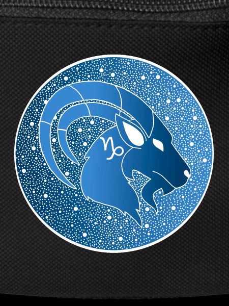 Tierkreiszeichen: Steinbock