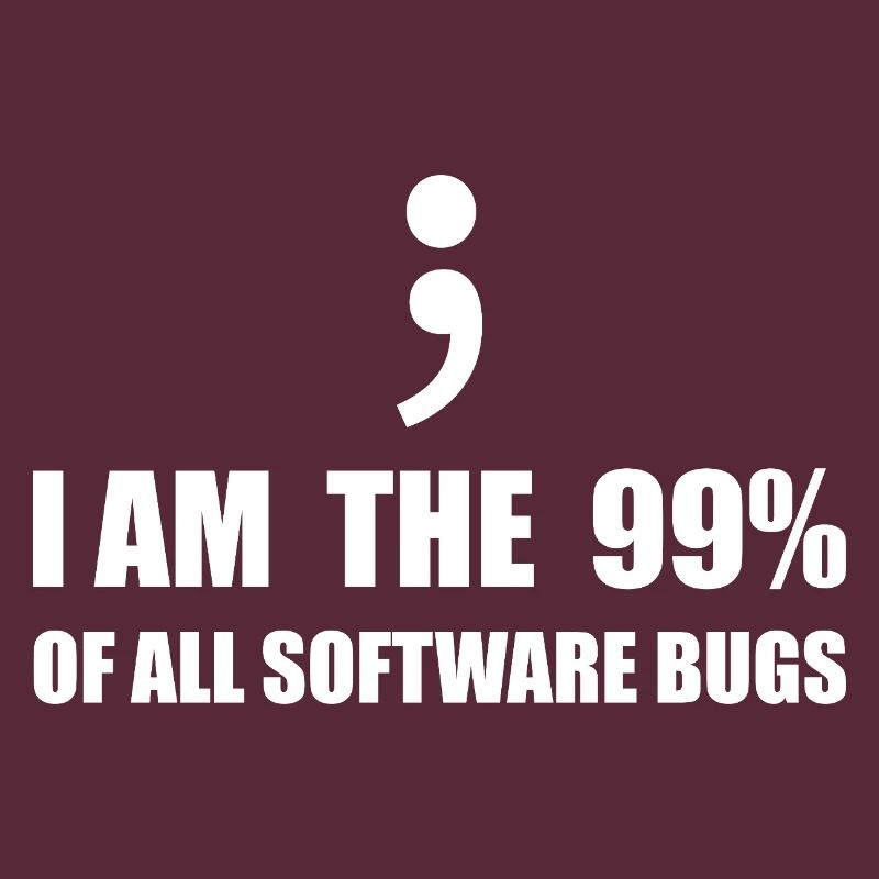 Programmeur Computer Scientist