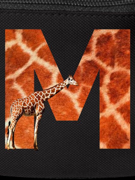 giraffe m