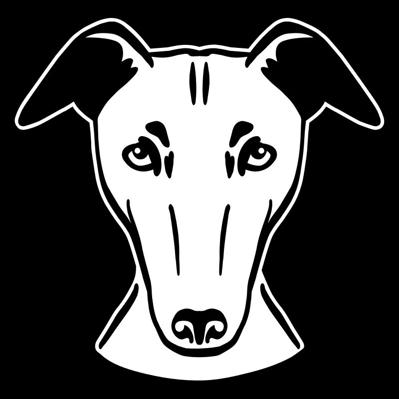 Windhund