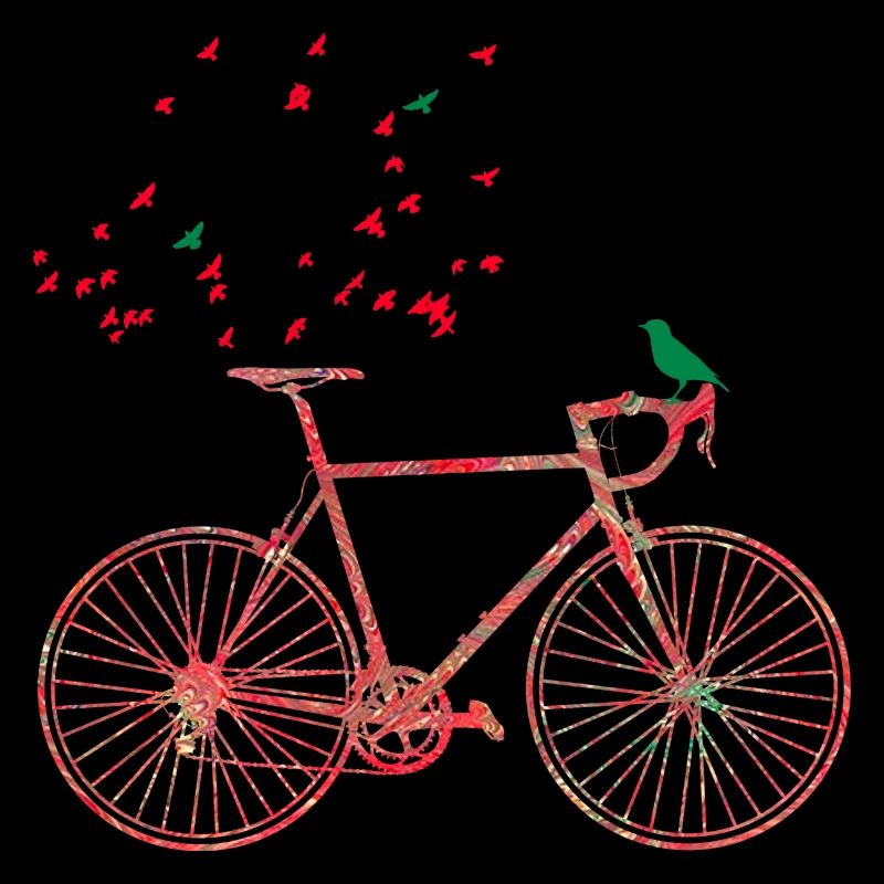 fahrrad e 91