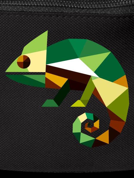 Geometric Chameleon