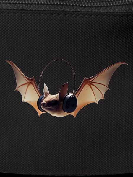 Bats have keen hearing