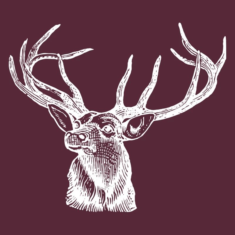 Hirsch Elch Geweih Hirschkopf Jäger