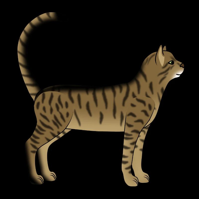 Chat rayé est