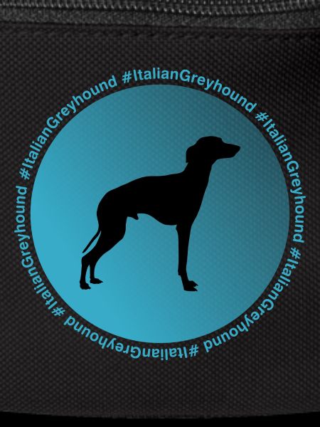Italian greyhound