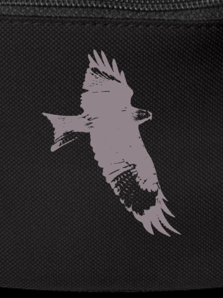 Eagle, falcon, falcon