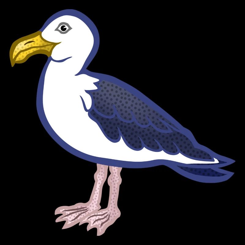 mouette