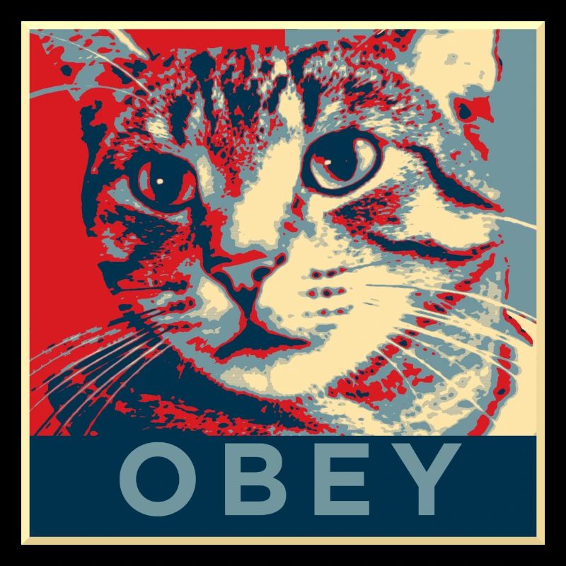 Obey the Cat!