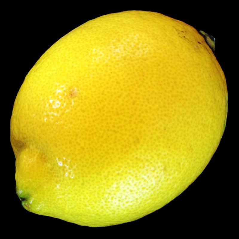 citron lime citron veggie Veggie agrumes