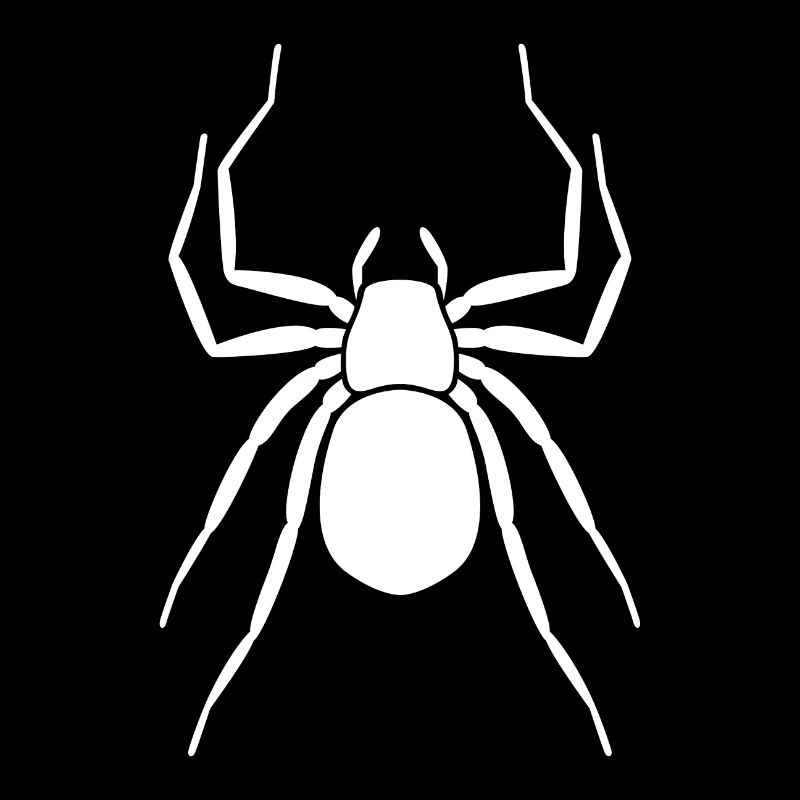 Spinne