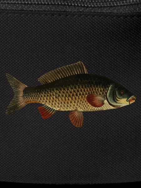 Carpes poissons