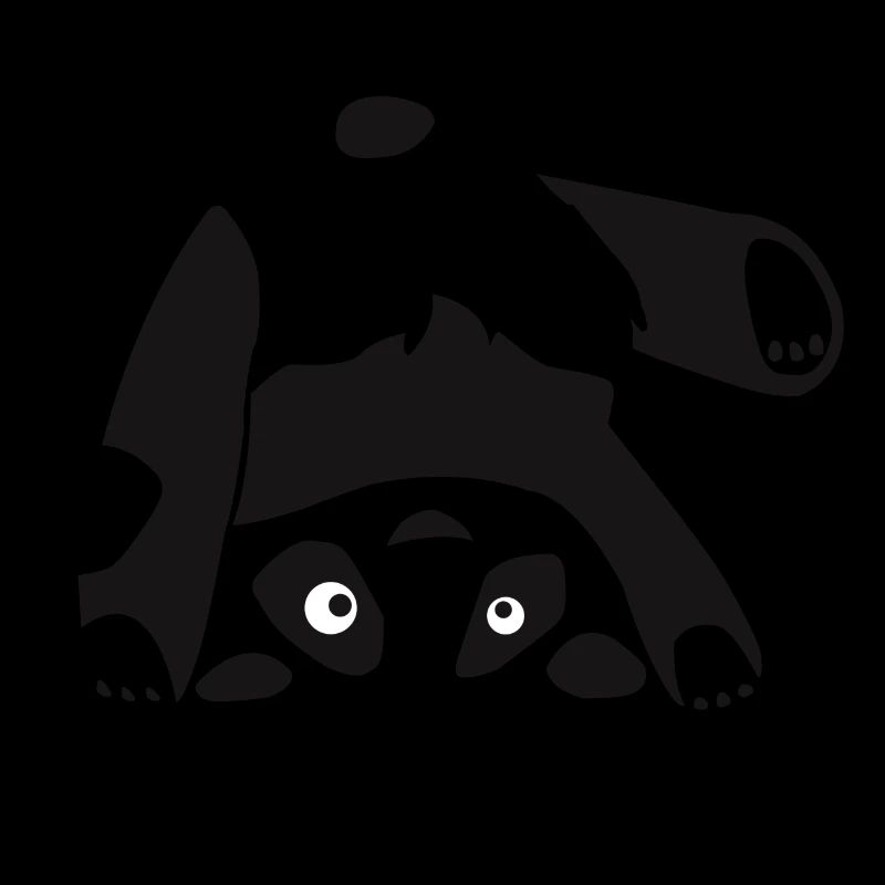 Panda, Bär