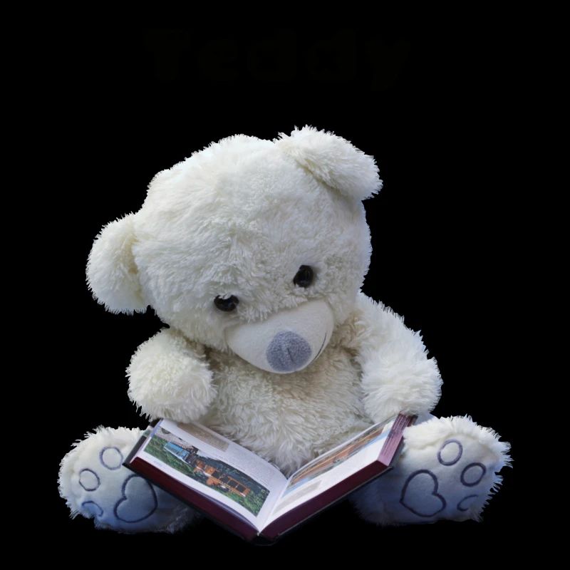 Teddy