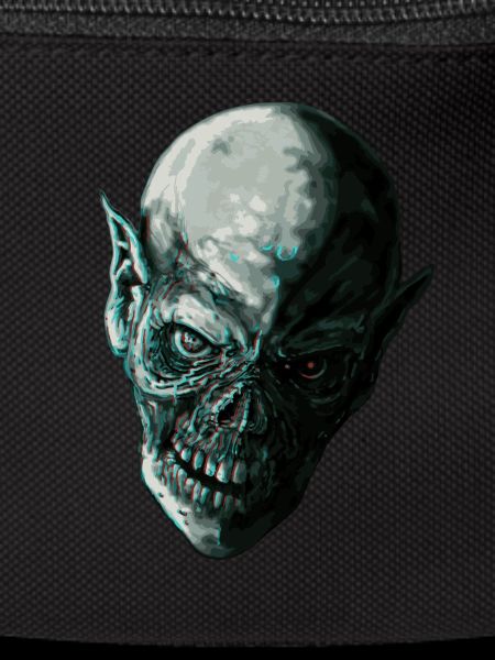ICY SKULL