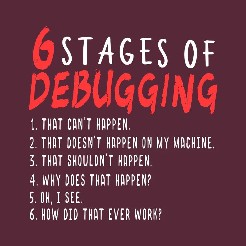 Debugging Definition Programmer I Troubleshooting