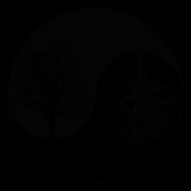 Ying-Yang-Baum