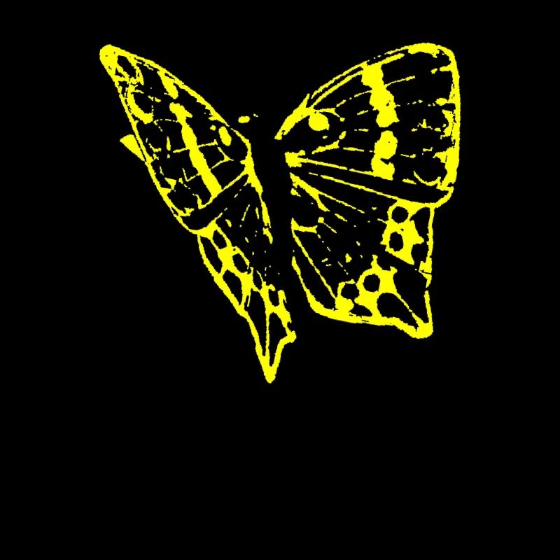 papillon, papillon