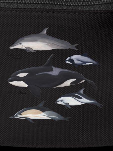 New Zealand's Dolphins