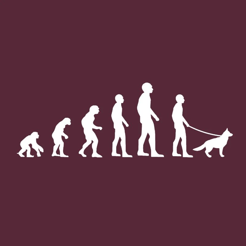 Evolution des chiens