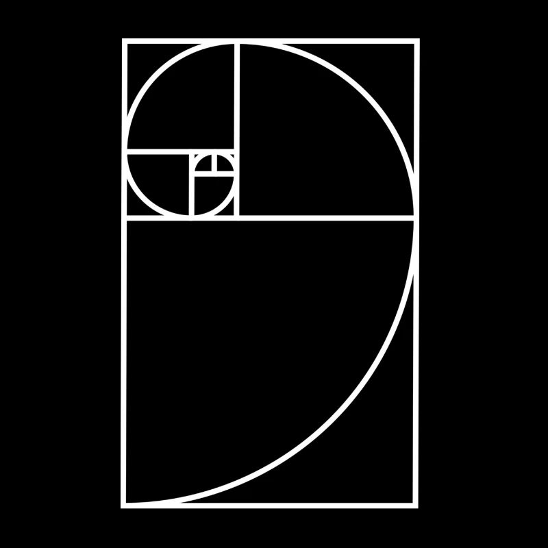 Spiral fibonacci
