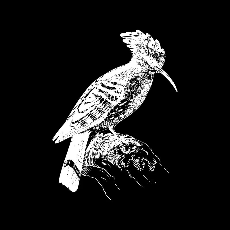 woodpecker