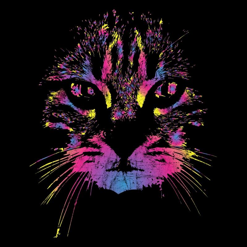 Cat colorful