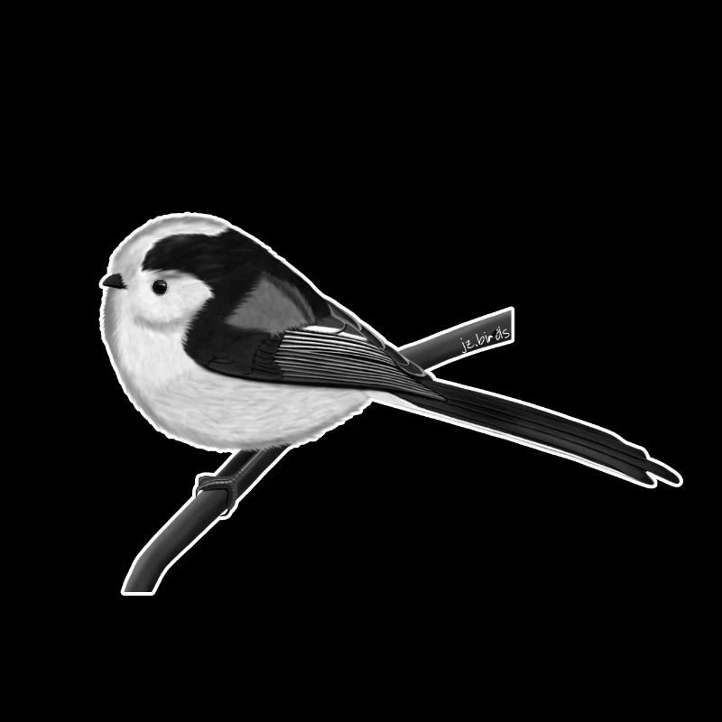 jz.birds mésange à longue queue oiseau conception illustration