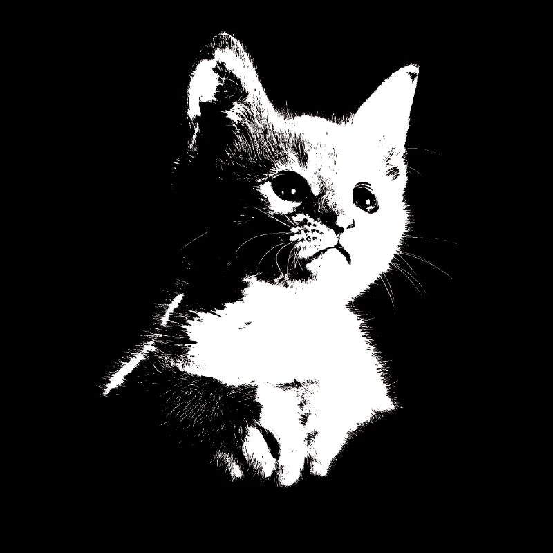 Kätzchen, Katze, Miau, Meow, Silhouette