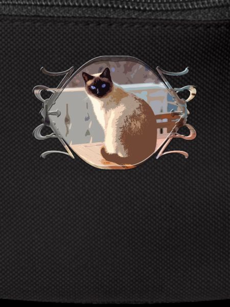 Chat, chat, chat