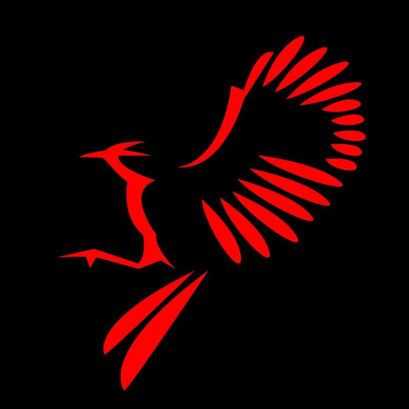 Illustration oiseau