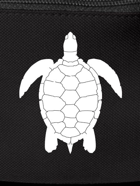 Tortoise turtle