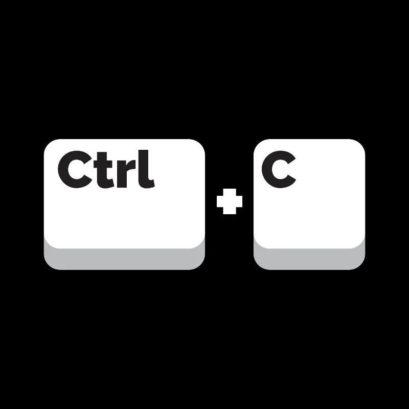 Couples Ctrl + C twins father and son gift