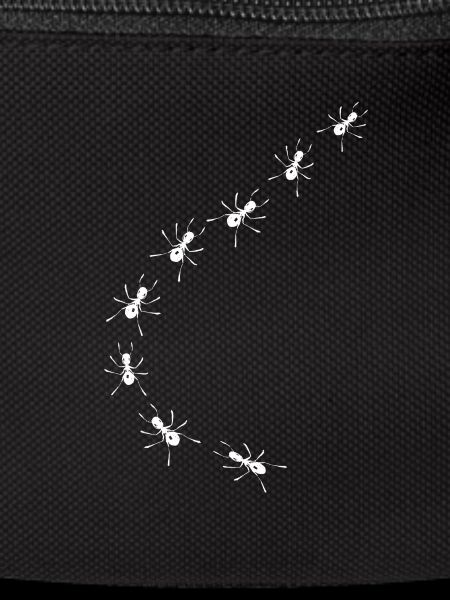 Ants