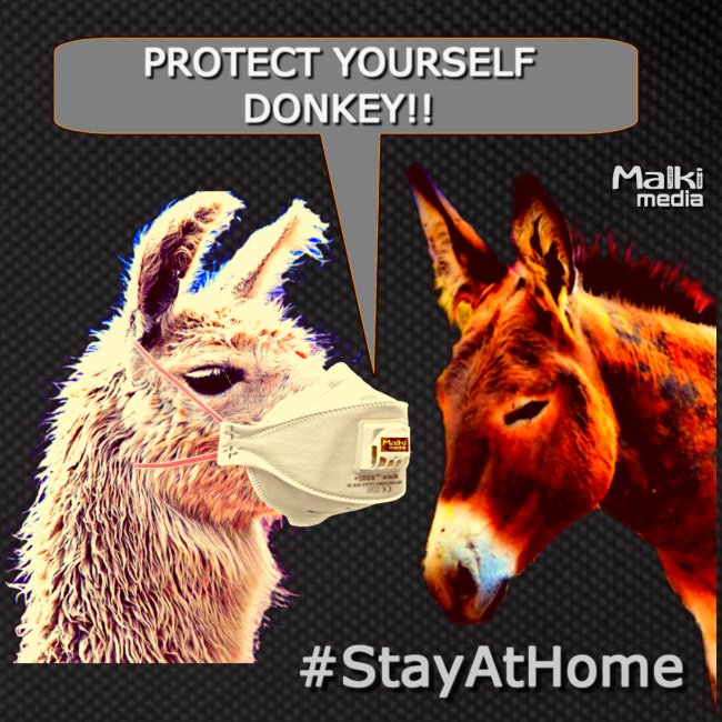 Protect Yourself Donkey - Coronavirus