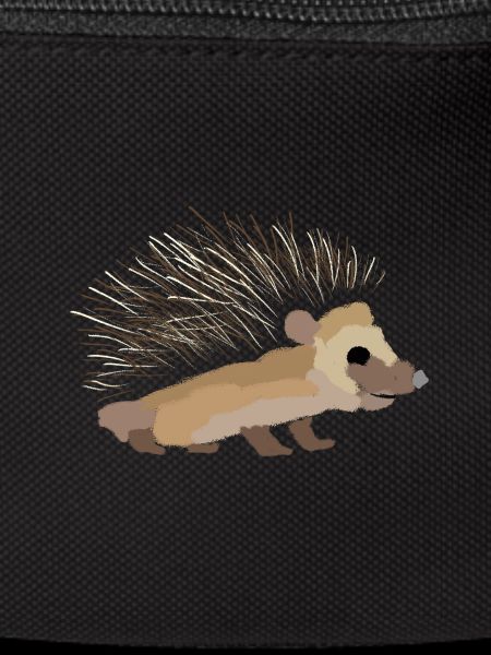 Hedgehog painted