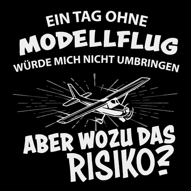 Modellflug RC Flugzeug Modellflieger