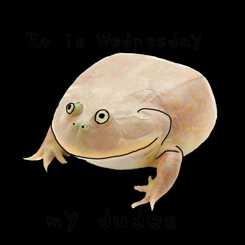 C’est mercredi mes mecs - mème