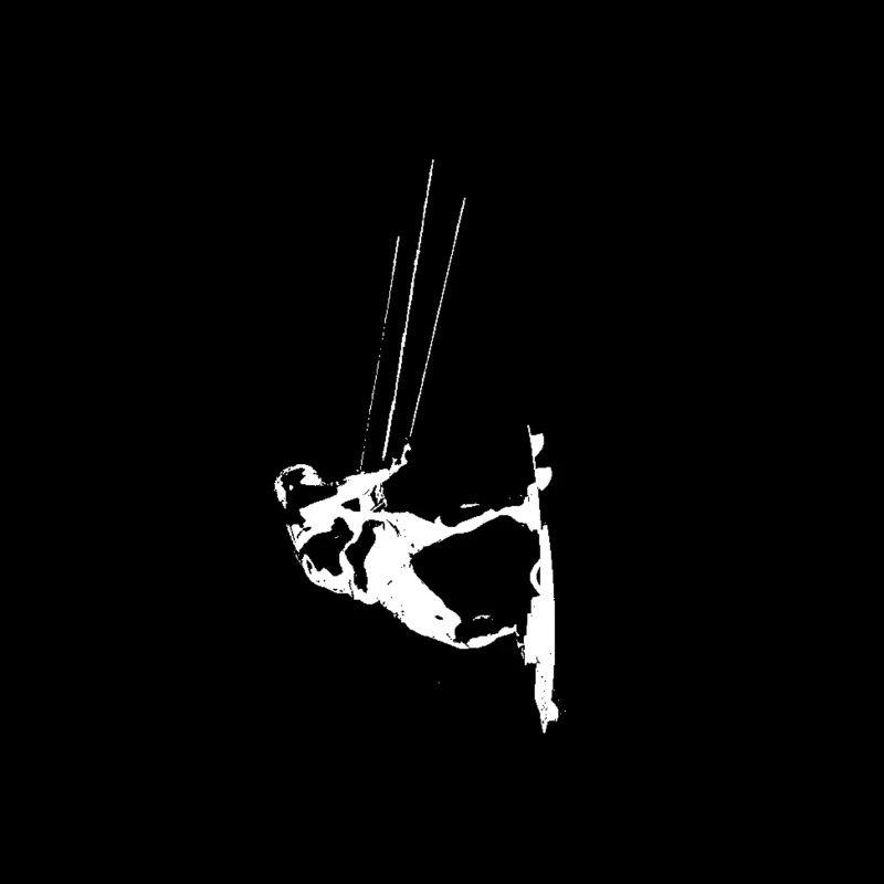 Kite surf - Kitesurfers