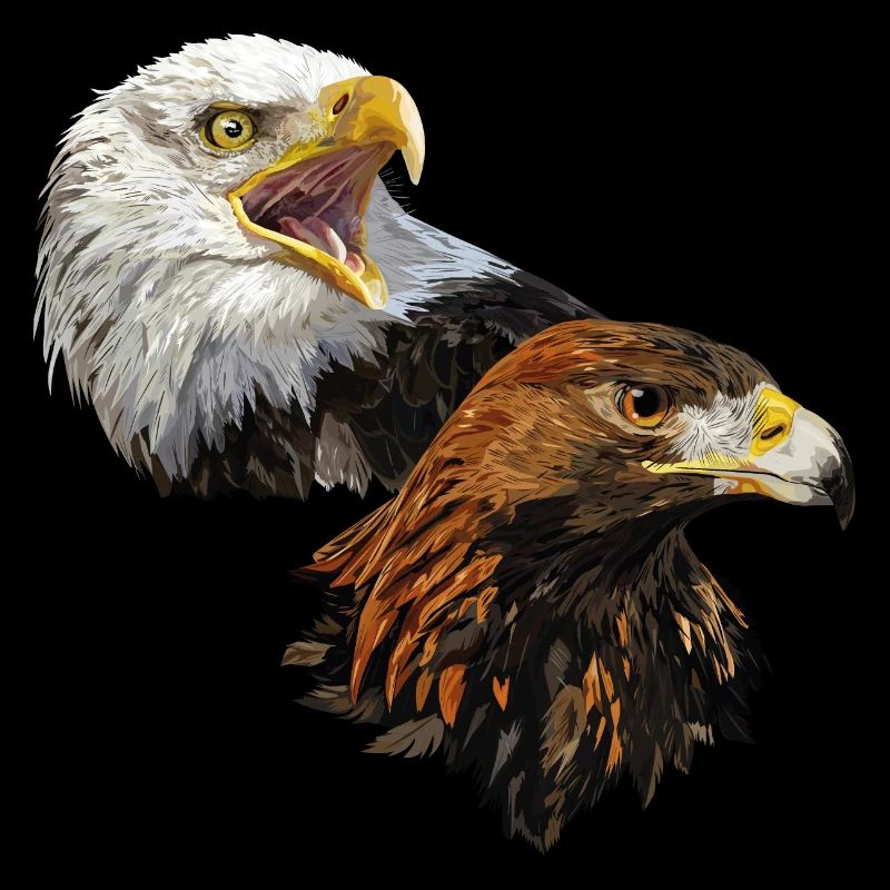 American Pigargo et Golden Eagle