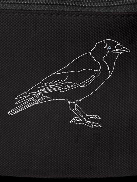 Jackdaw lineart
