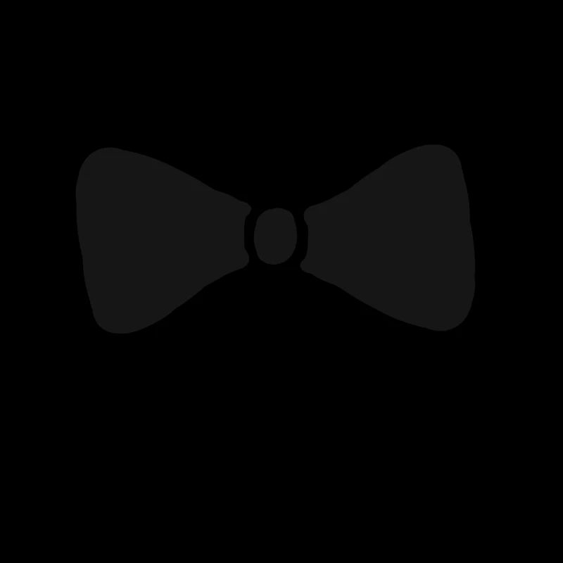 Fliege Anzug Schick Geschenk